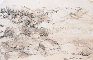 clay landscape1a 